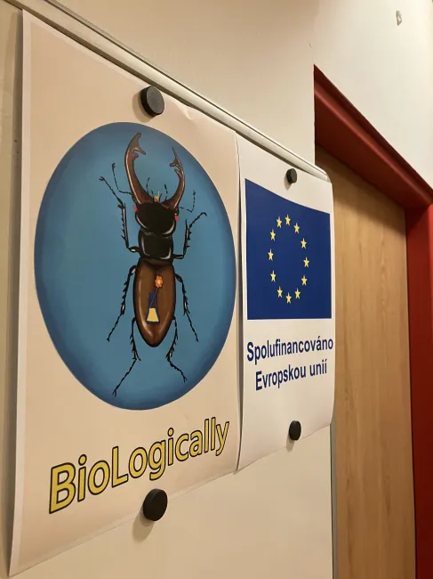 Podzimní Běstvinka 2024 zahájena