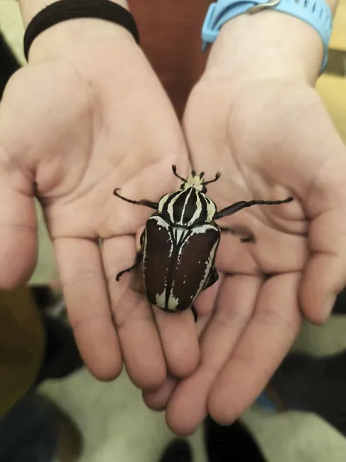 Brány Arendellu jsou otevřeny!